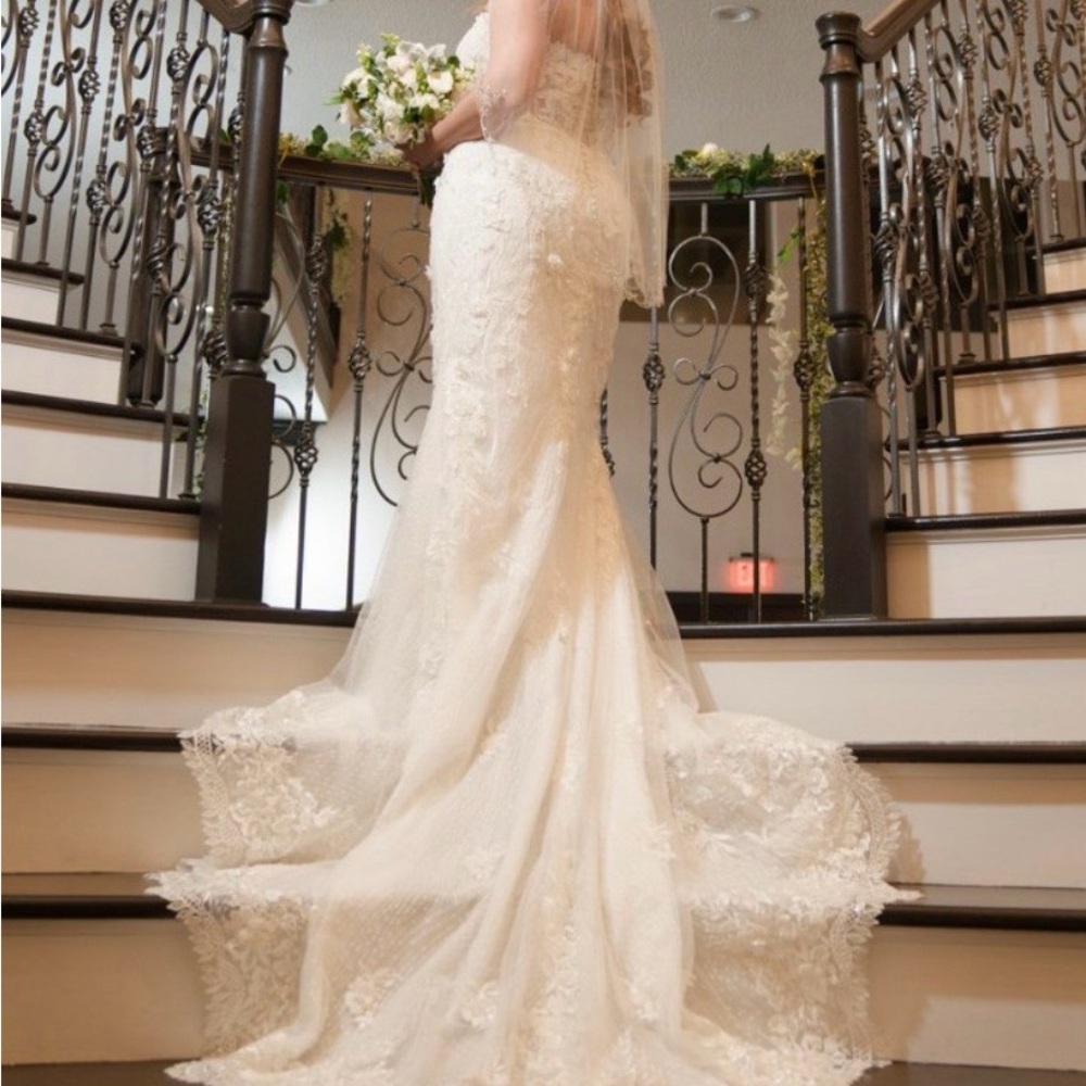 Pronovias Aethra Elegant Lace Wedding Dress in Ivory